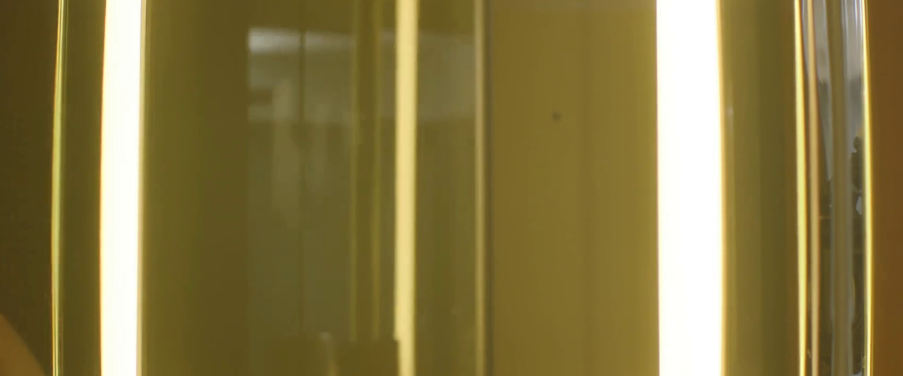 vlcsnap-2021-05-25-21h35m55s989