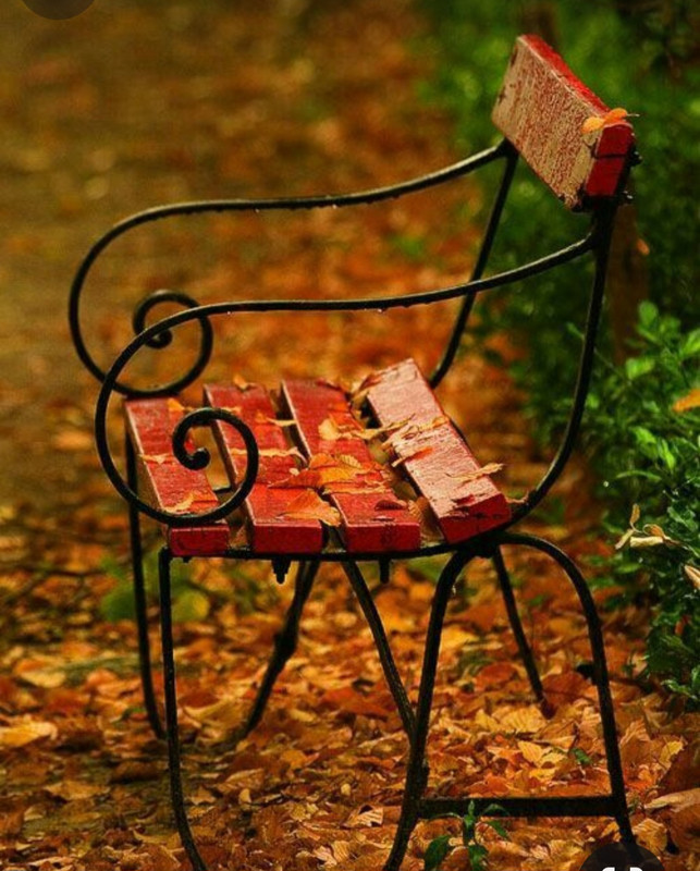 Screenshot_20231130_235625_Pinterest