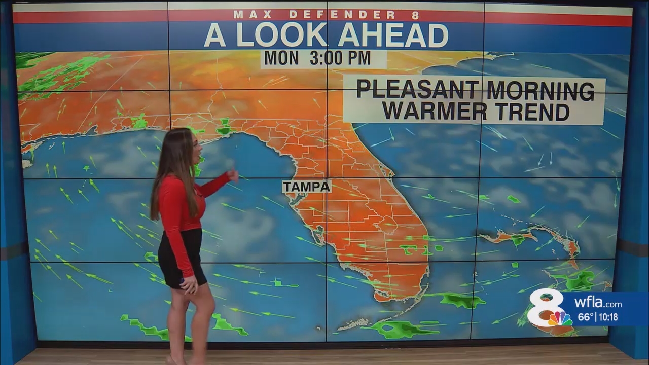 NewsChannel 8 News at 1000pm_20241116_03000330.ts_snapshot_19.05.207