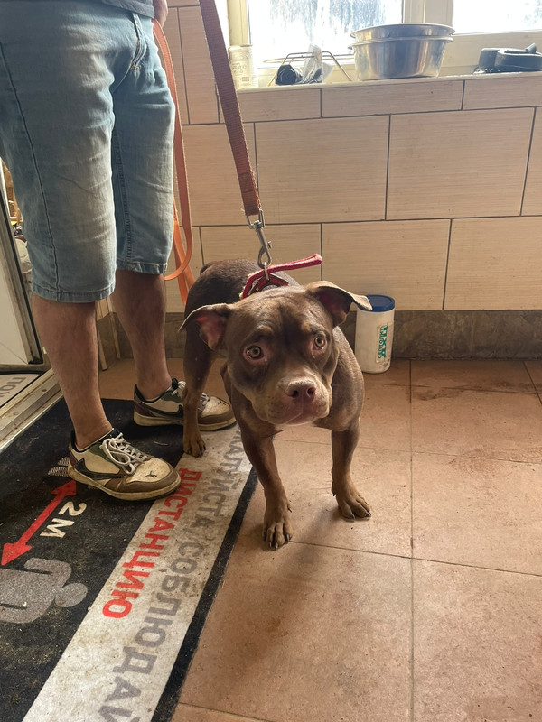 WhatsApp Image 2023-04-08 at 14.23.14 (2)