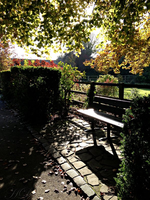 park-bench-HD.jpg