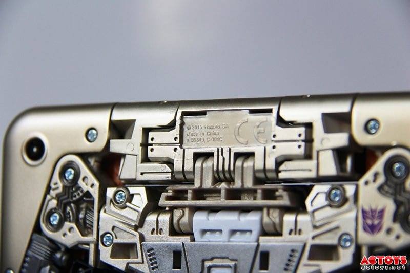 12920405_245122455838189_8964086739213413443_n