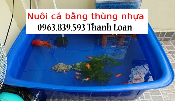 Toàn quốc - Thùng nhựa 750l nuôi cá hình chữ nhật rẻ biên hòa / 0963.839.593 ms.loan Be-nhua-nuoi-ca-hinh-chu-nhat-1