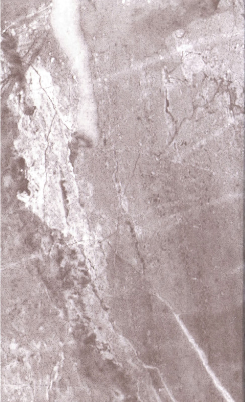 p0002