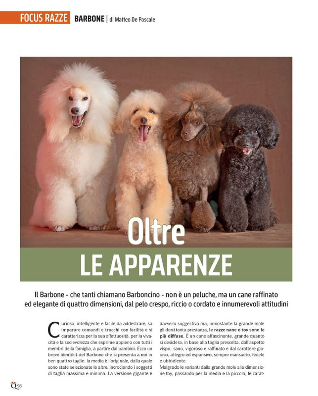 QuattroZampe Feb 2024 (7)