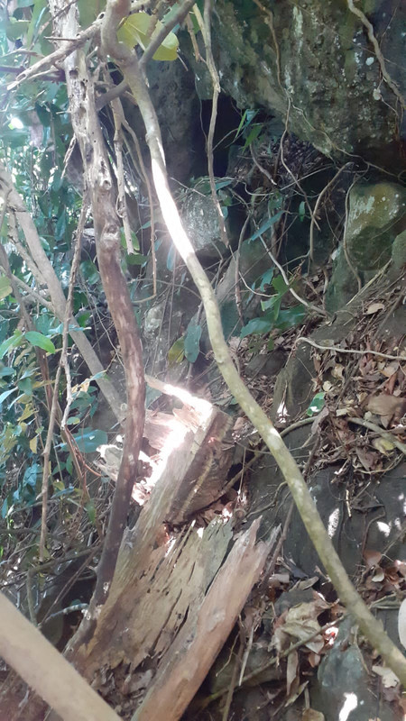 75A89FBD-A2BA-464A-ABBA-8C0EA903F986