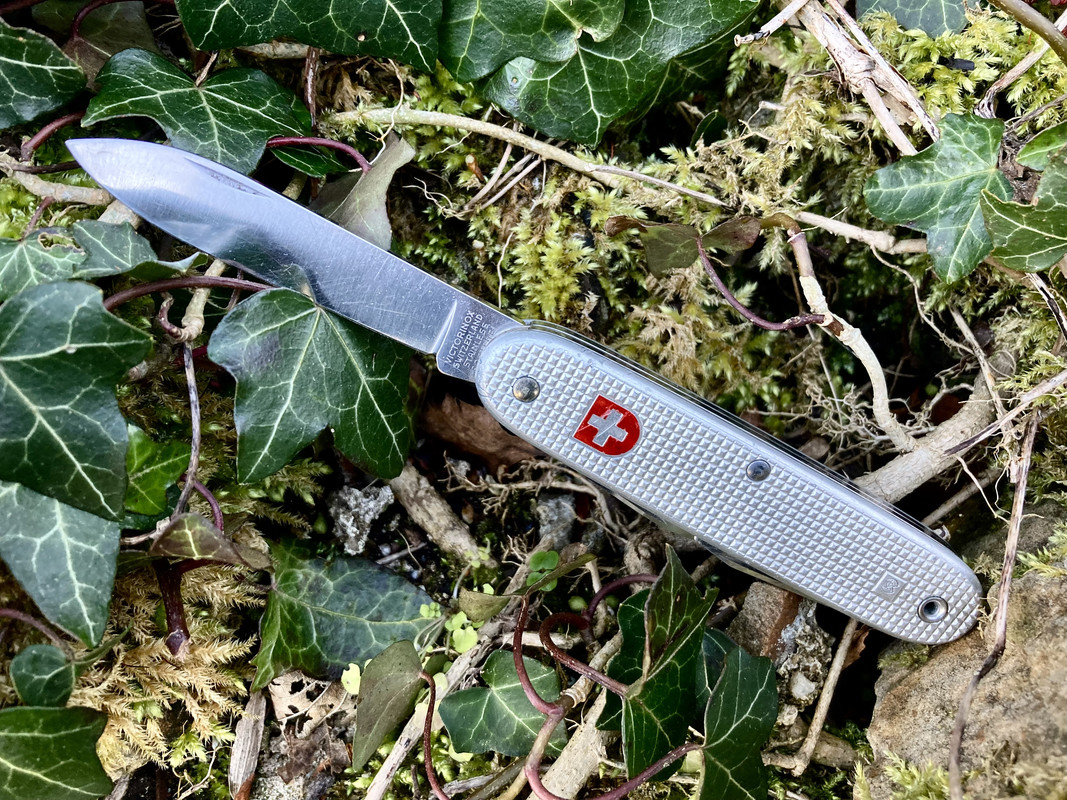 AF908280-D36A-4F93-9F07-73284D39C68C