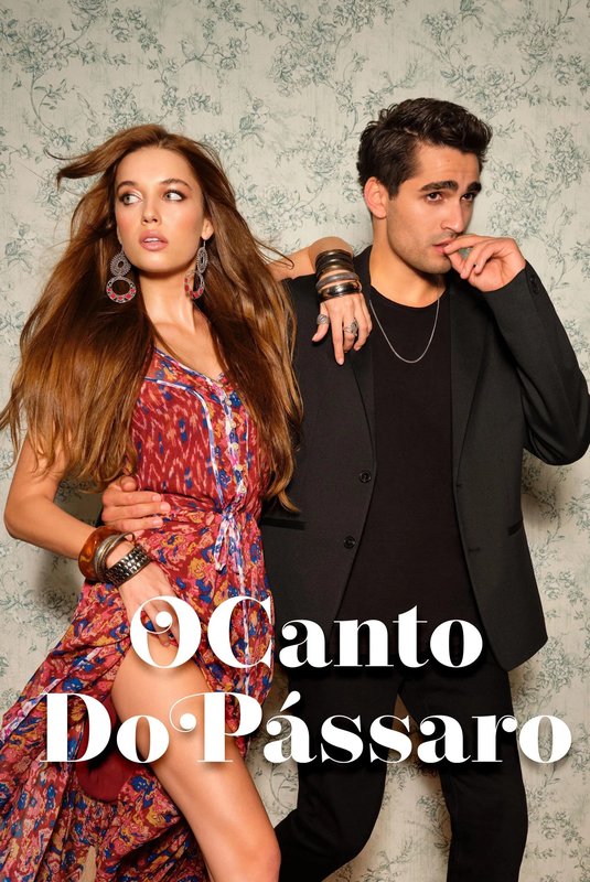 [Imagem: O-Canto-do-P-ssaro.jpg]