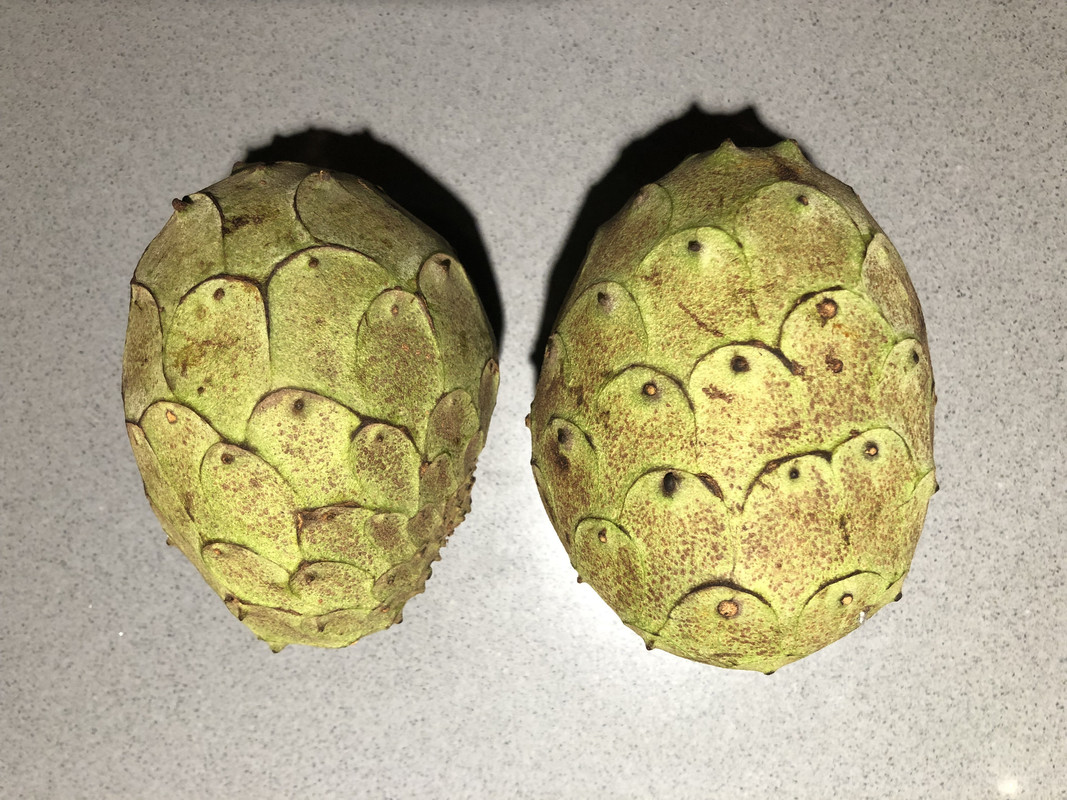 40DCA28A-681A-4F5E-902C-53DCE84DFB6F