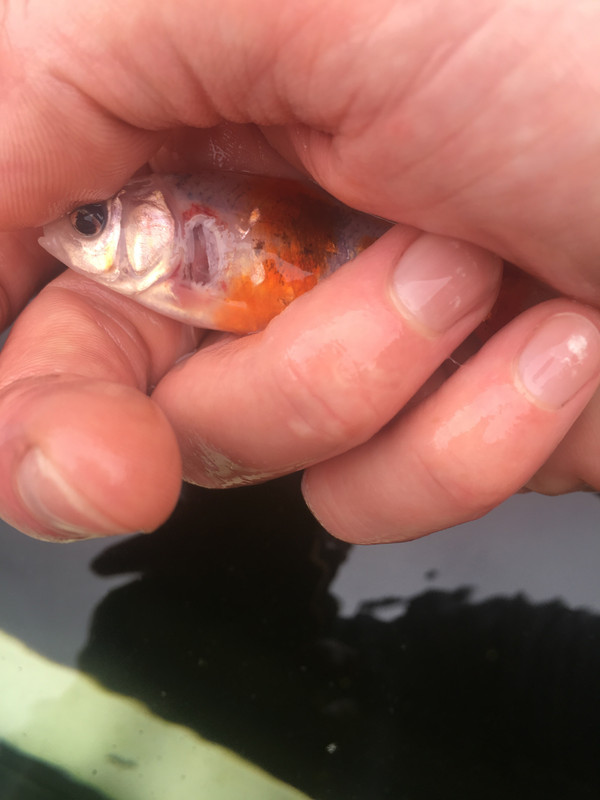 DA96378B-CEA9-4111-B425-5748E3B4AB89