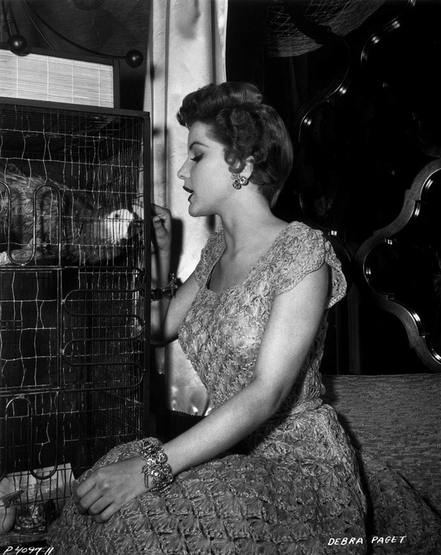debra_paget_158