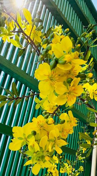 [Image: IMG_3104.jpg]