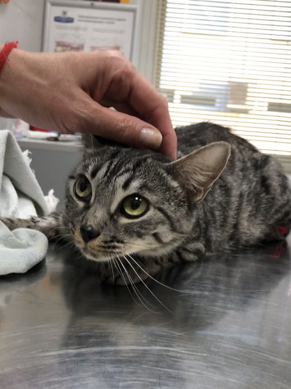 F0858F84-77A3-49B4-BA39-D32242EA88C8