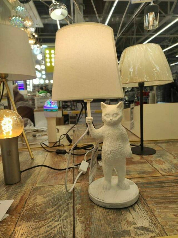 picdump-kw50-2023-001.jpg