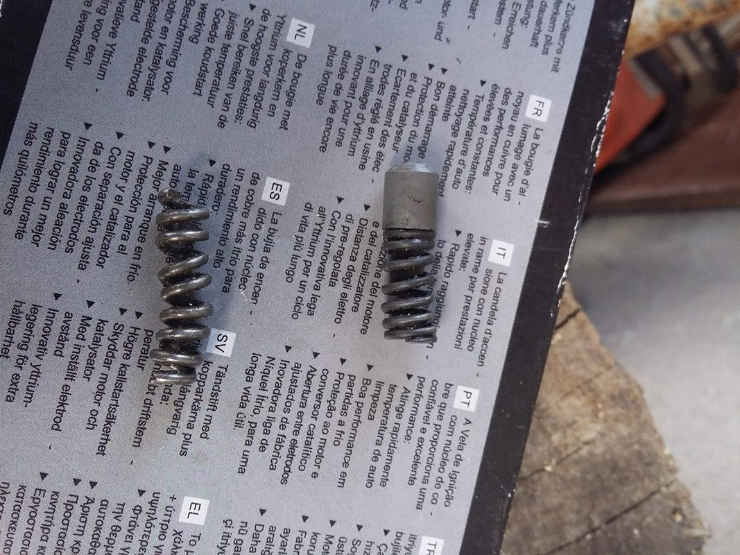 13241586_10207768800555514_327700076_o