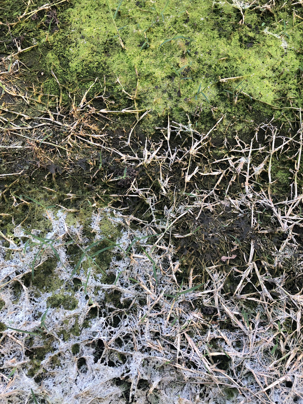 C1D6BCF4-0A70-4AE2-82EE-B8B696BBB0E8