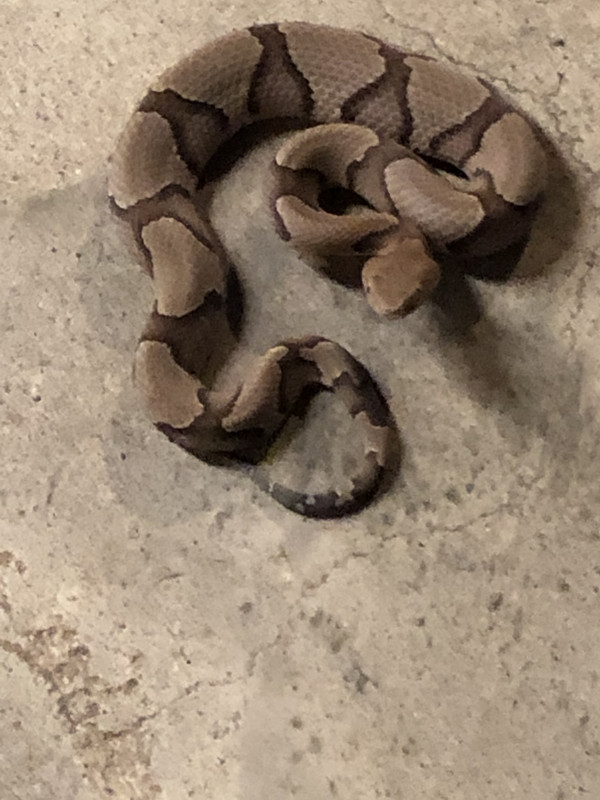 E9E0E549-9A20-4DF9-A7C8-0A263958F50D