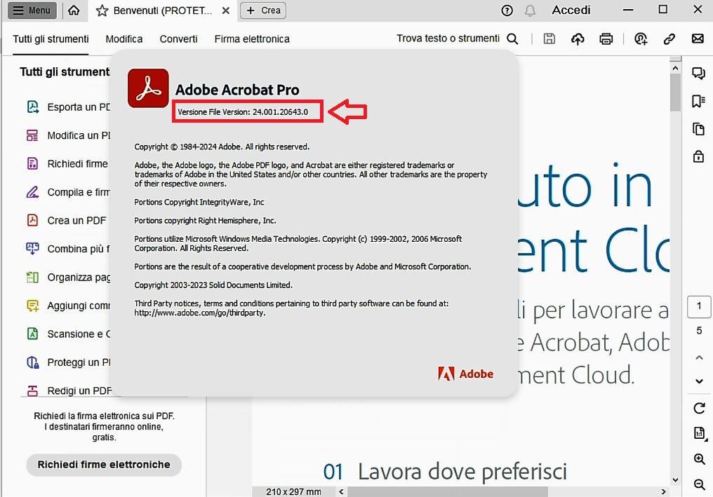 Ac Pro Dd Pro 2024 Lang Info