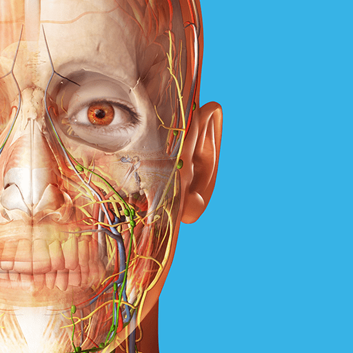 Human Anatomy Atlas 2023 v2023.02.001