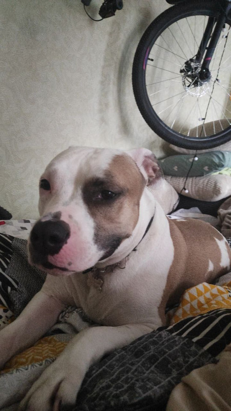 photo_2024-03-12_13-35-34 (2)