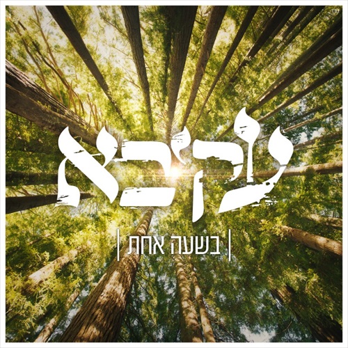 תמונה