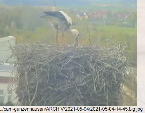 2021-05-04-1445-2Kü