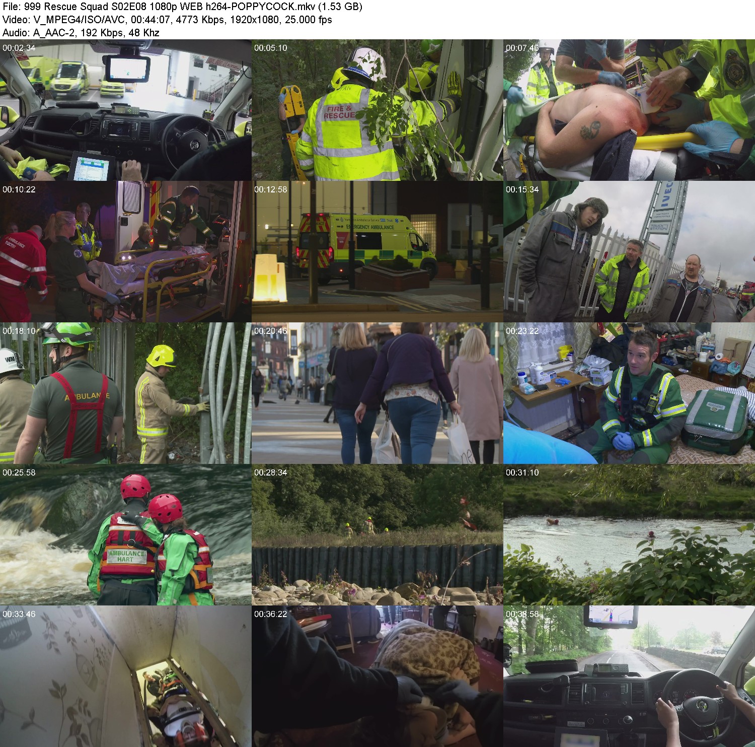 [Image: j6c7ezw32gdc.jpg]