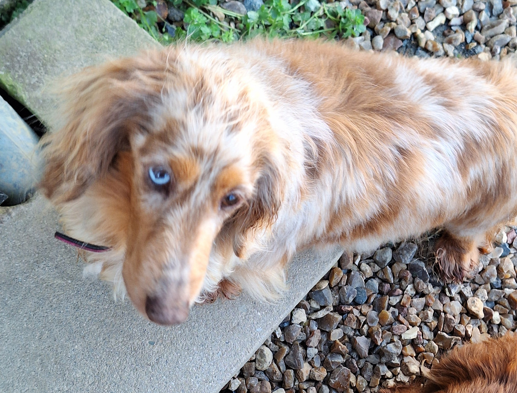 [Image: 20240324-181306.jpg]