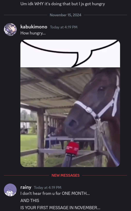 funny ss 24 funny ss 24