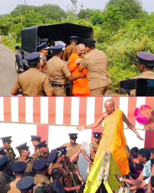 602404386-10242865059824321-761118794136