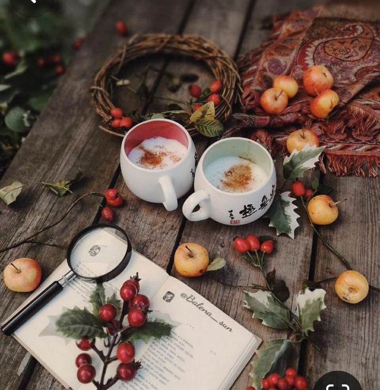 Screenshot_20230909_233416_Pinterest