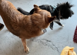 [Image: EFFE91-BC-ACB1-498-E-A1-E8-5-DD697813991.jpg]