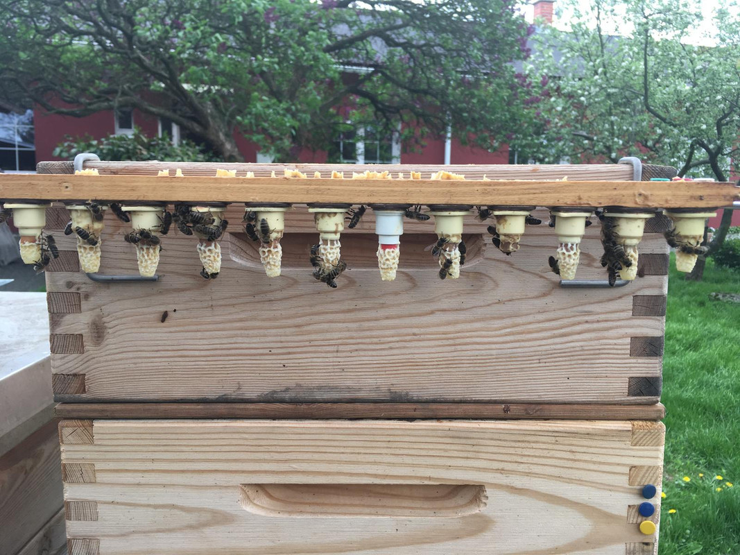 ED070CC9-8639-48ED-80E8-4E32AE1DE0A2