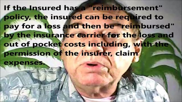 [Image: G-PInsurance-Law-Explained-By-Shane-Irvine-J-d.jpg]