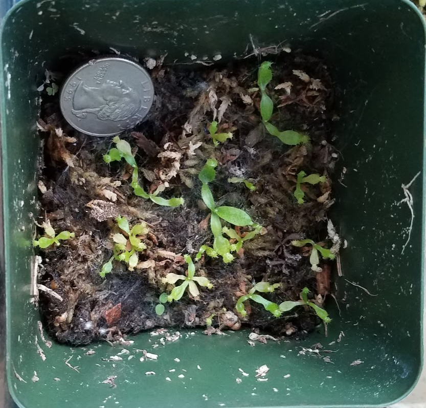 Annotation 2019-10-05 092739