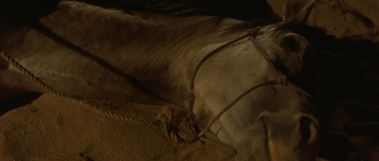 Running Free 1999 WebRip [Hindi + Tamil + English] 480p 720p ESub Screenshot