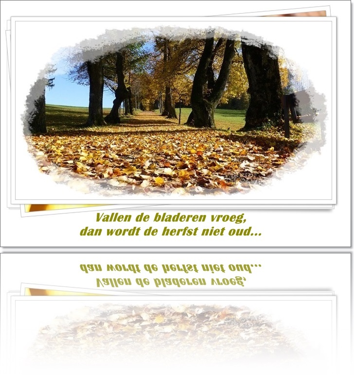 An den Beitrag angehängtes Bild: https://i.postimg.cc/05V3xYsG/i9fzcqq6ho1-1-1.jpg