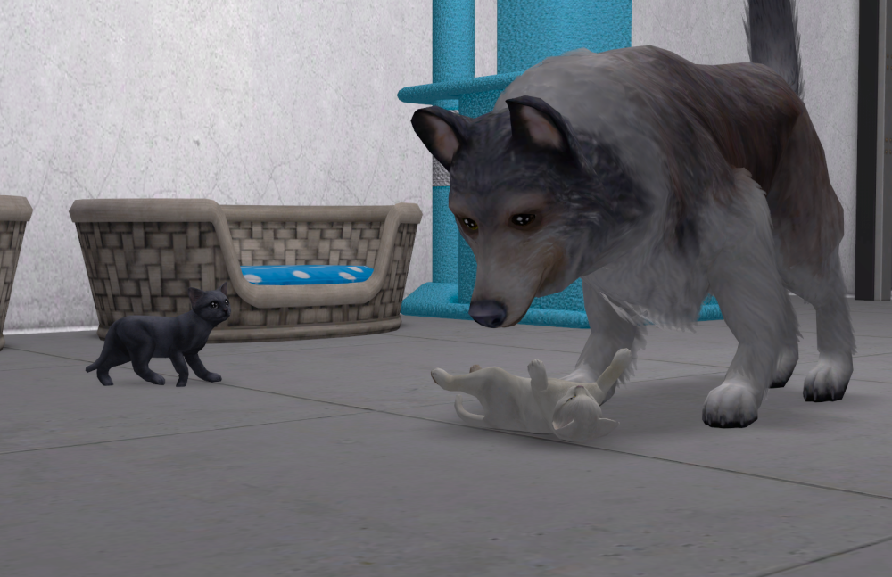 Sims2-EP9-RPC-2021-06-29-20-26-26-86