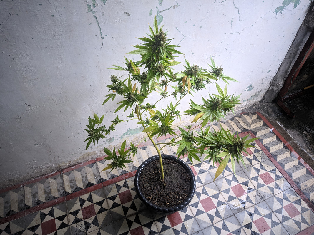 HC_20230308_083651_null