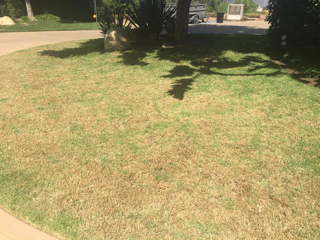 C29335D4-6B84-4E39-9B6C-E4CF4B513721