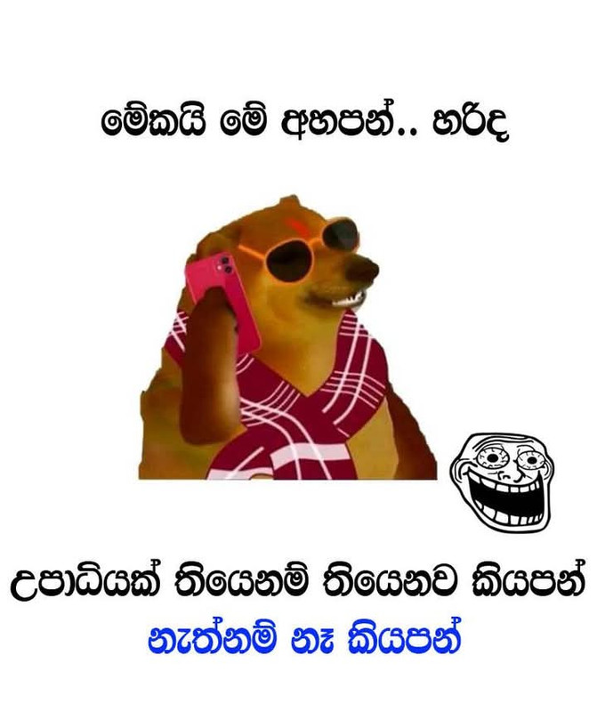 FB-IMG-1734188569653.jpg