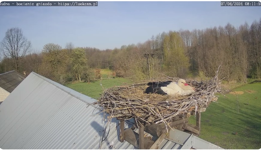 ScreenHunter_530 Apr. 07 18.25