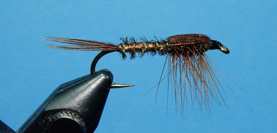 Copper-Bug-2-1080.jpg