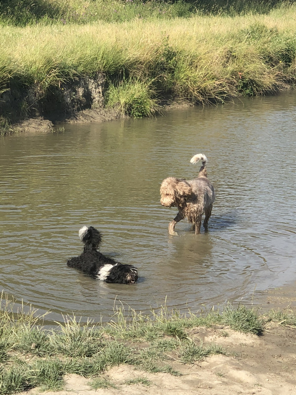 20F88BBE-A17D-4081-82F3-571B04C9EE29