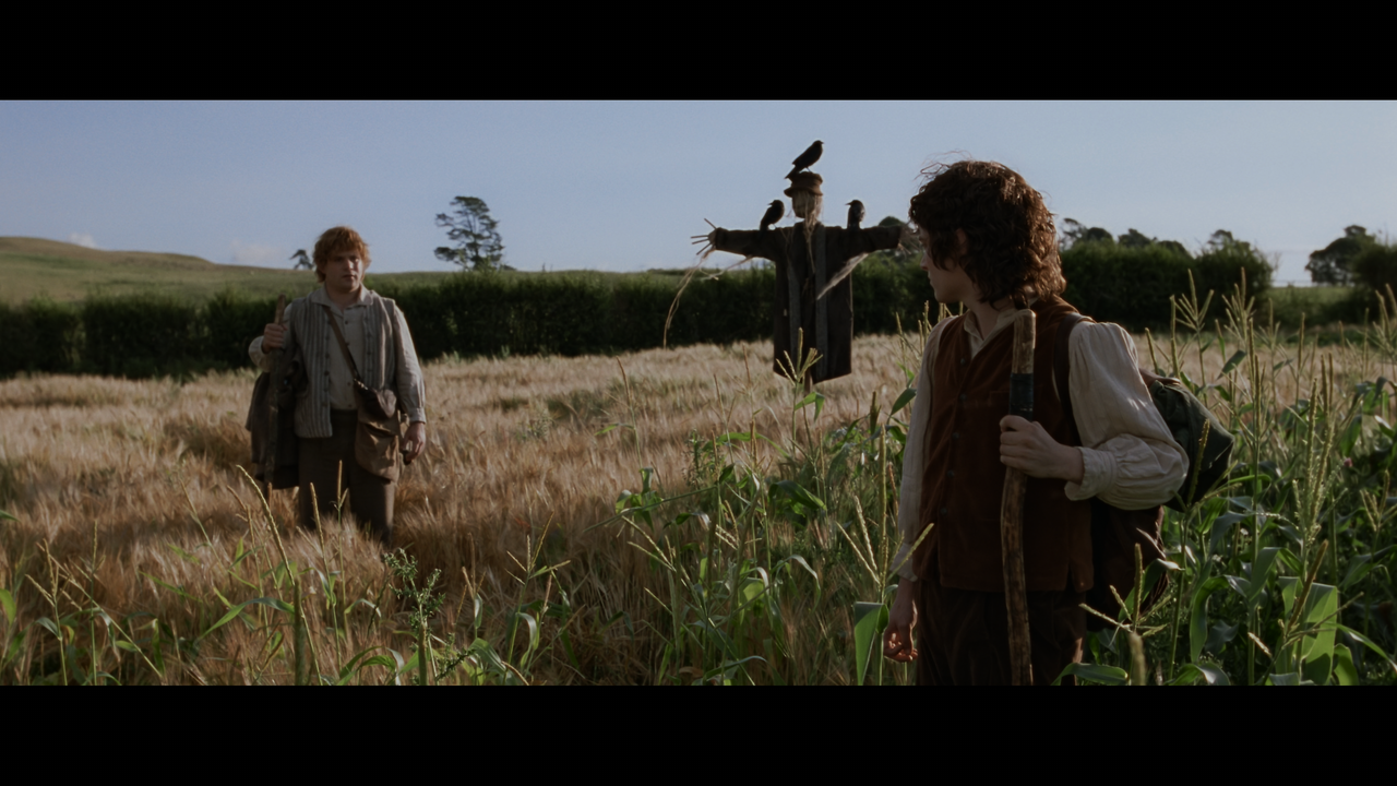 The Lord of the Rings- The Fellowship of the Ring (EXT.) PT. 1.mkv_snapshot_00.44.24_[2020.12.05_22.