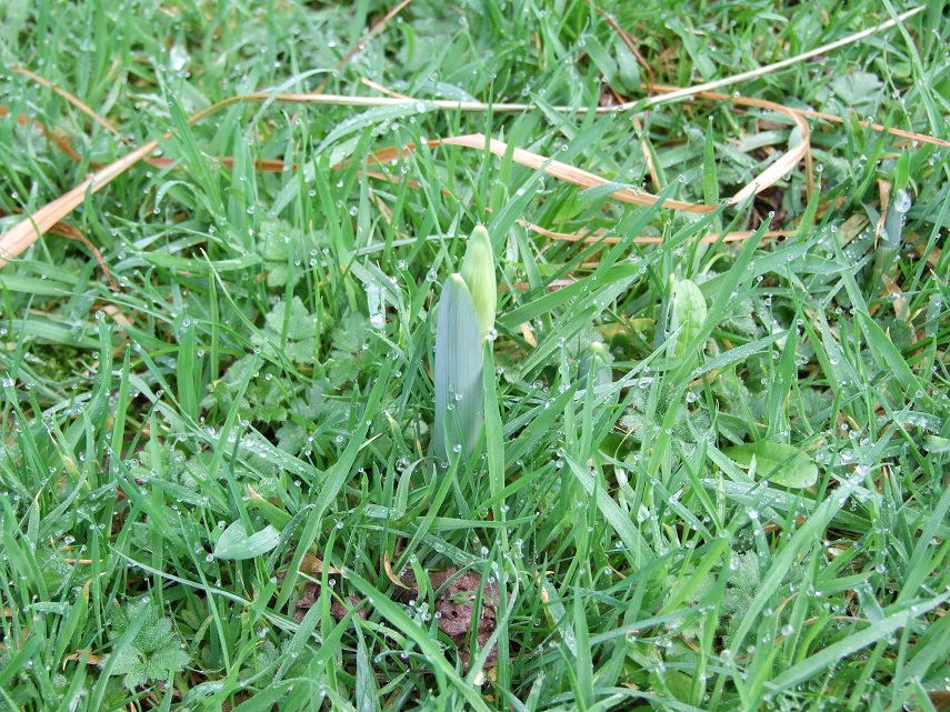 DSCF7246small
