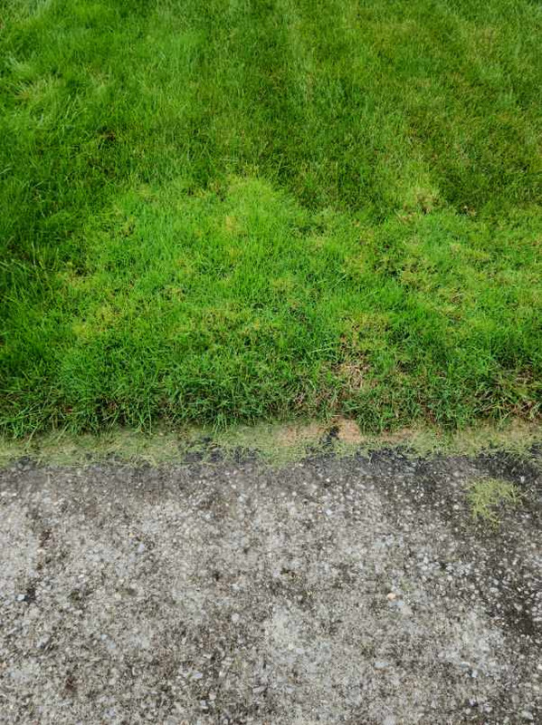 Resized_20211005_084411_62408875141763