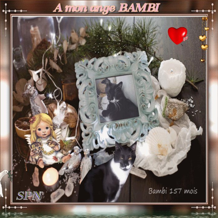bambi-157-mois-gif