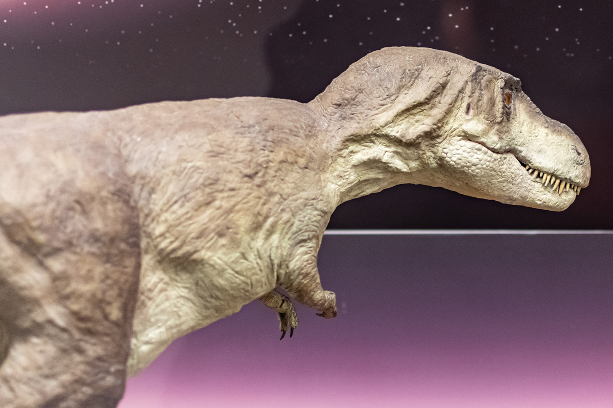 NCN_Middelburg_D5600 (4)