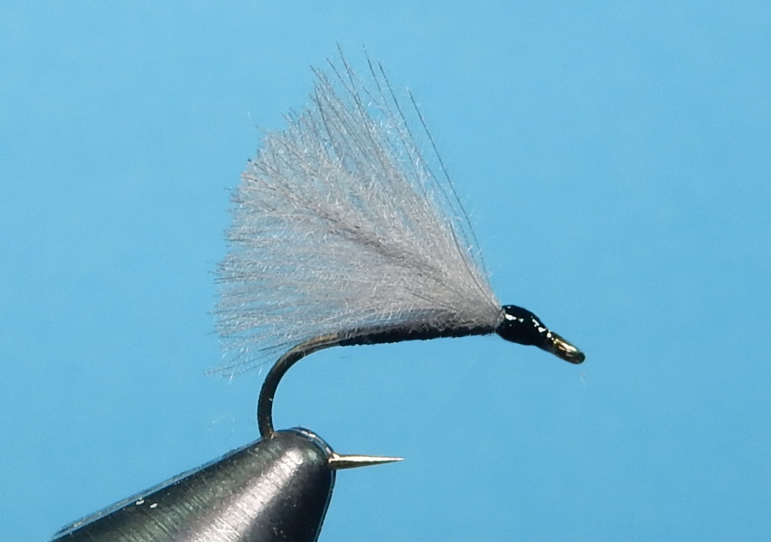 F-Fly.jpg